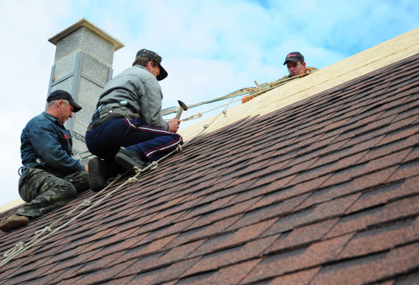 Roof Gutter Cleaning in Dale, IN